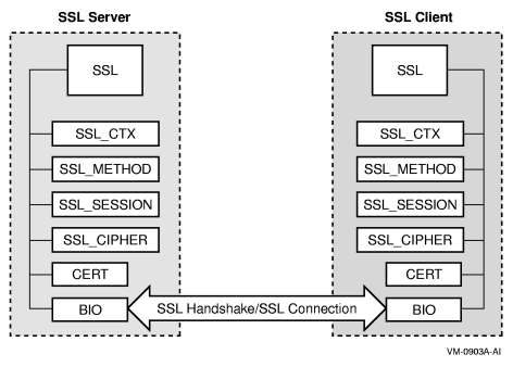 Structures Associated with SSL Structure