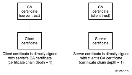 Client and Server Certificates Directly Signed by CAs