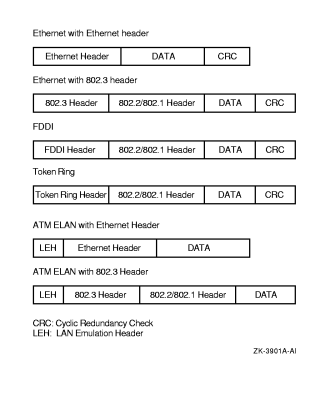 LAN Frame Formats