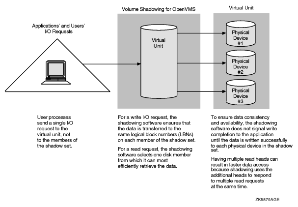 Elements of a Shadow Set
