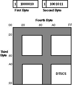 Code Space For DTSCS In DEC Hanyu